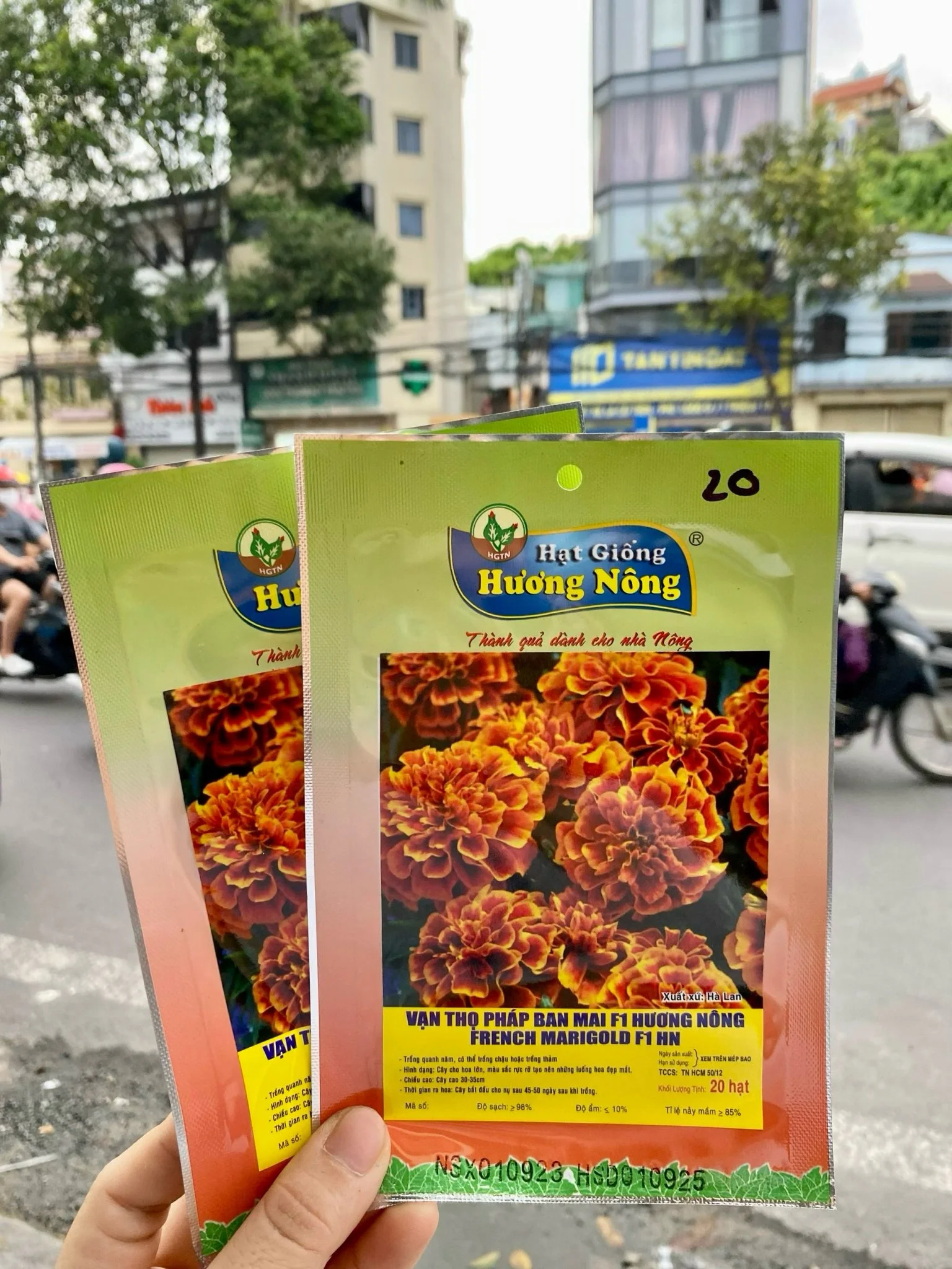 Vạn thọ Pháp Ban mai F1 Hương nông | img 8467