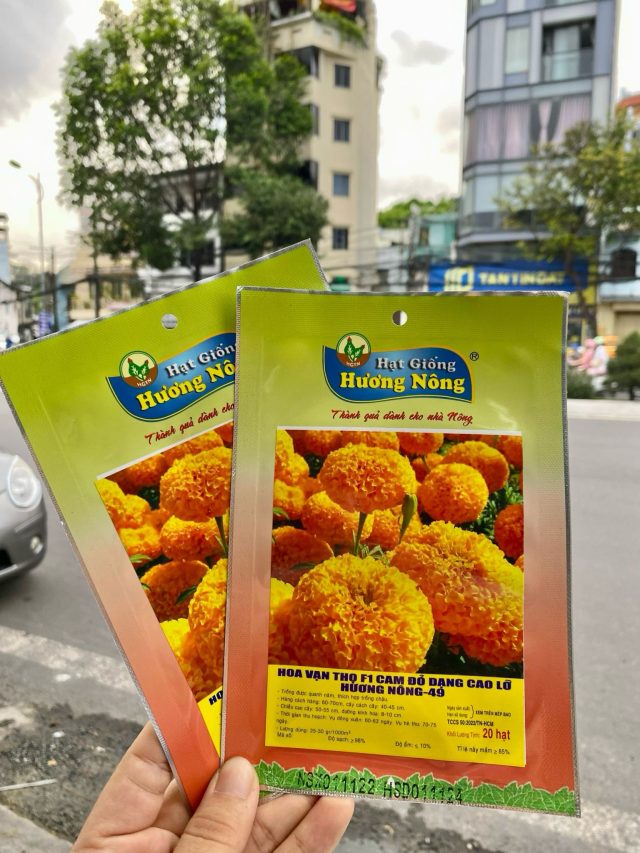 Hoa vạn thọ cam đỏ F1 dạng cao lỡ Hương nông-49 | img 8469