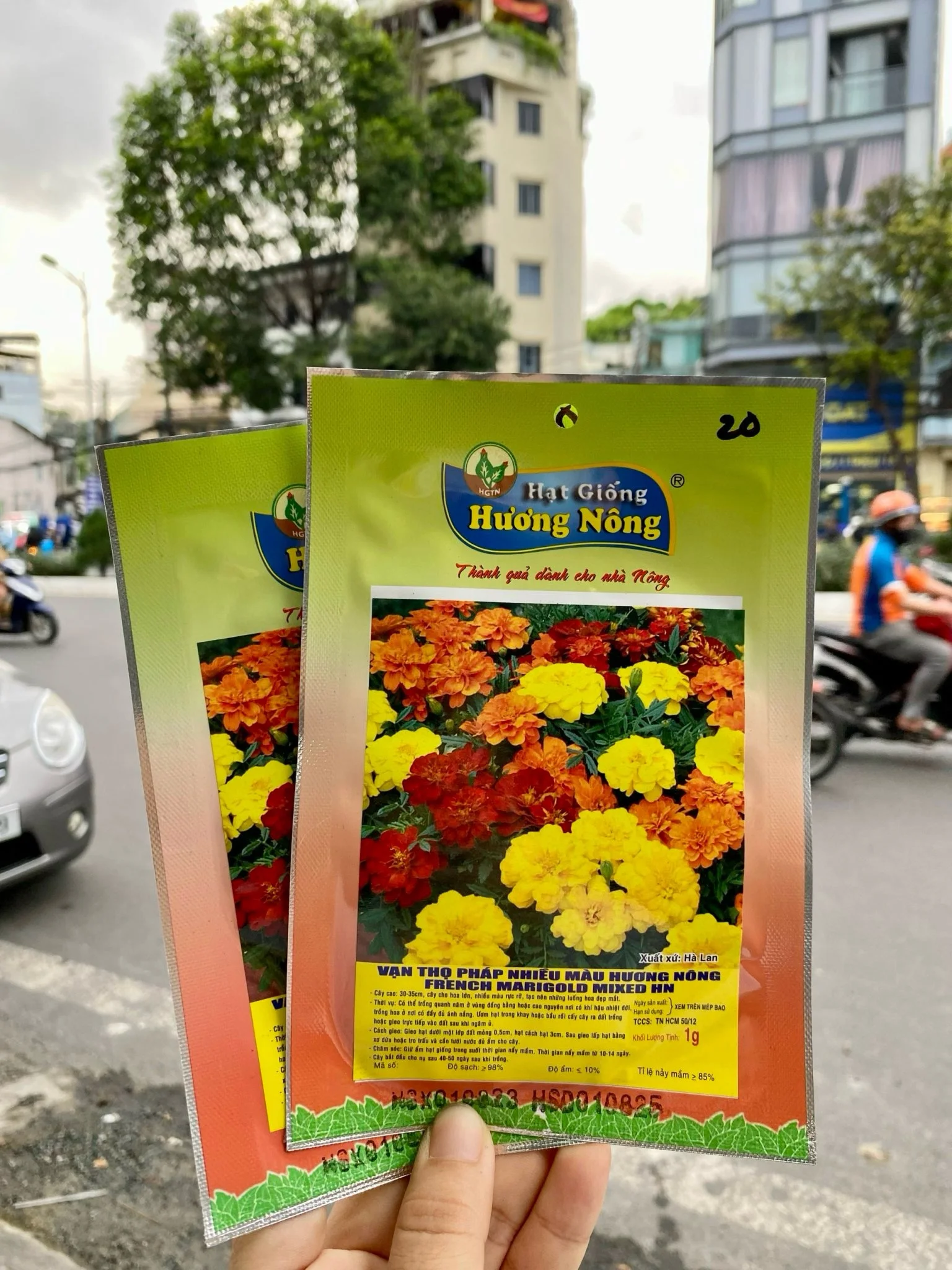 Hoa vạn thọ Pháp nhiều màu Hương nông.