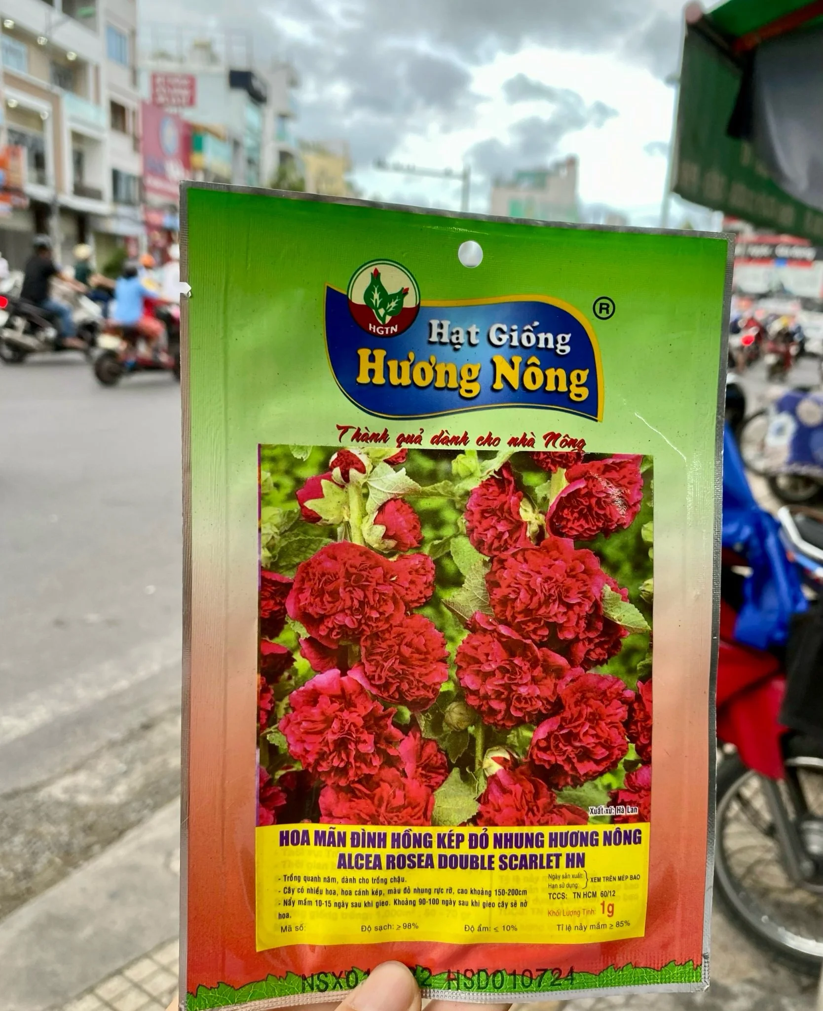 Hoa Mãn Đình Hồng kép, đỏ nhung Hương nông | img 8472