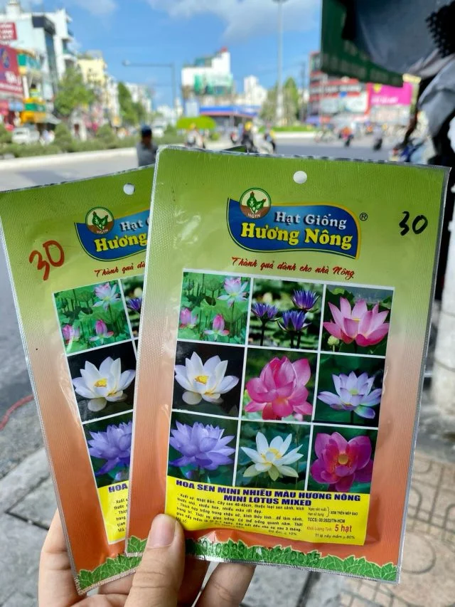Hoa sen mini nhiều màu Hương nông | img 8477