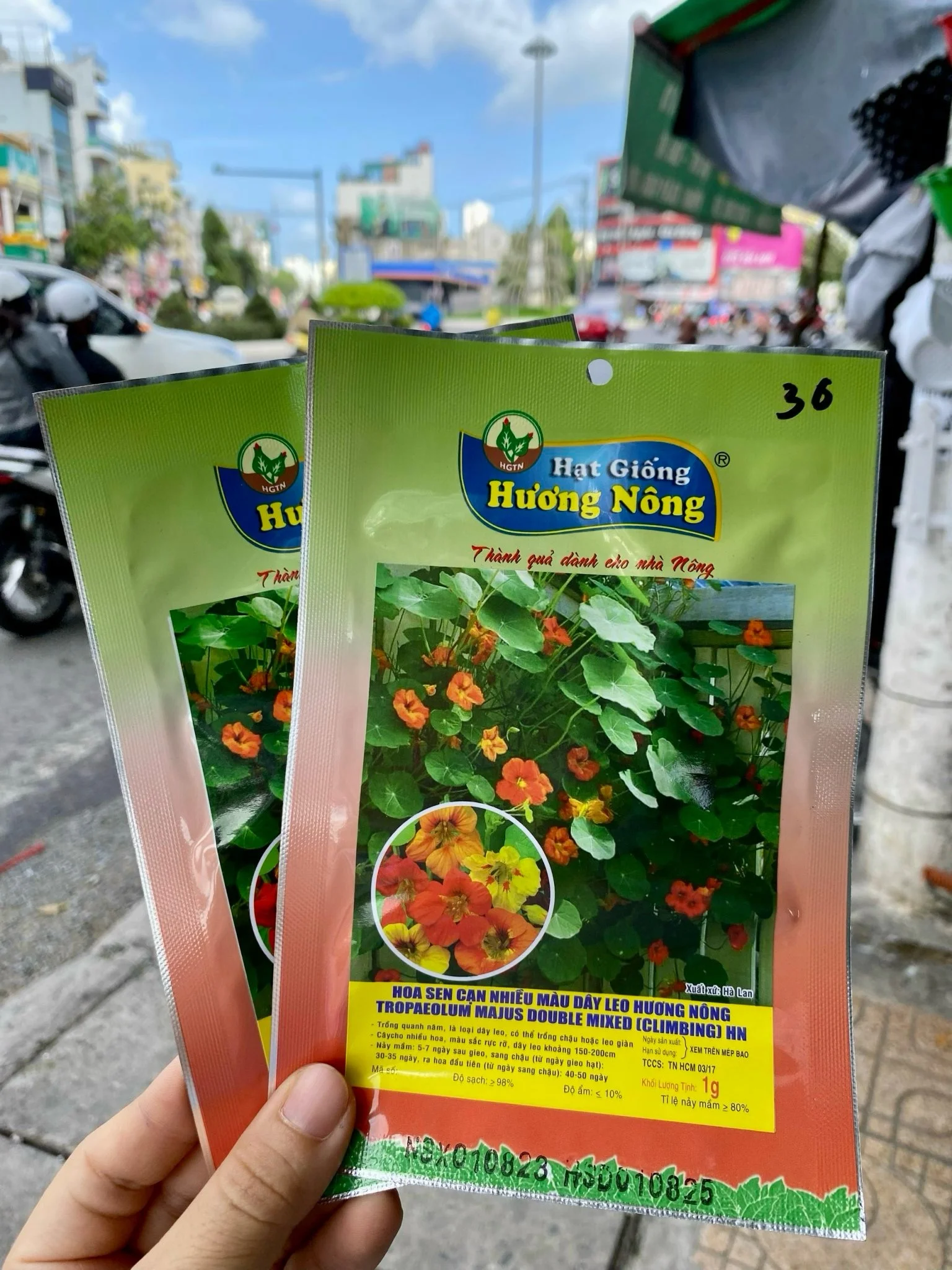 Hoa sen cạn, nhiều màu dây leo Hương nông | img 8478