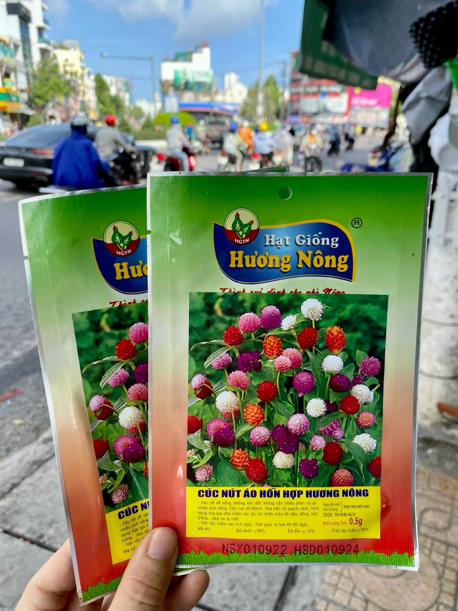 Hoa cúc nút áo hỗn hợp Hương nông