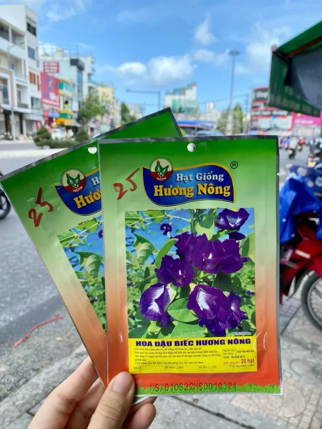 Hoa đậu biếc | img 8481