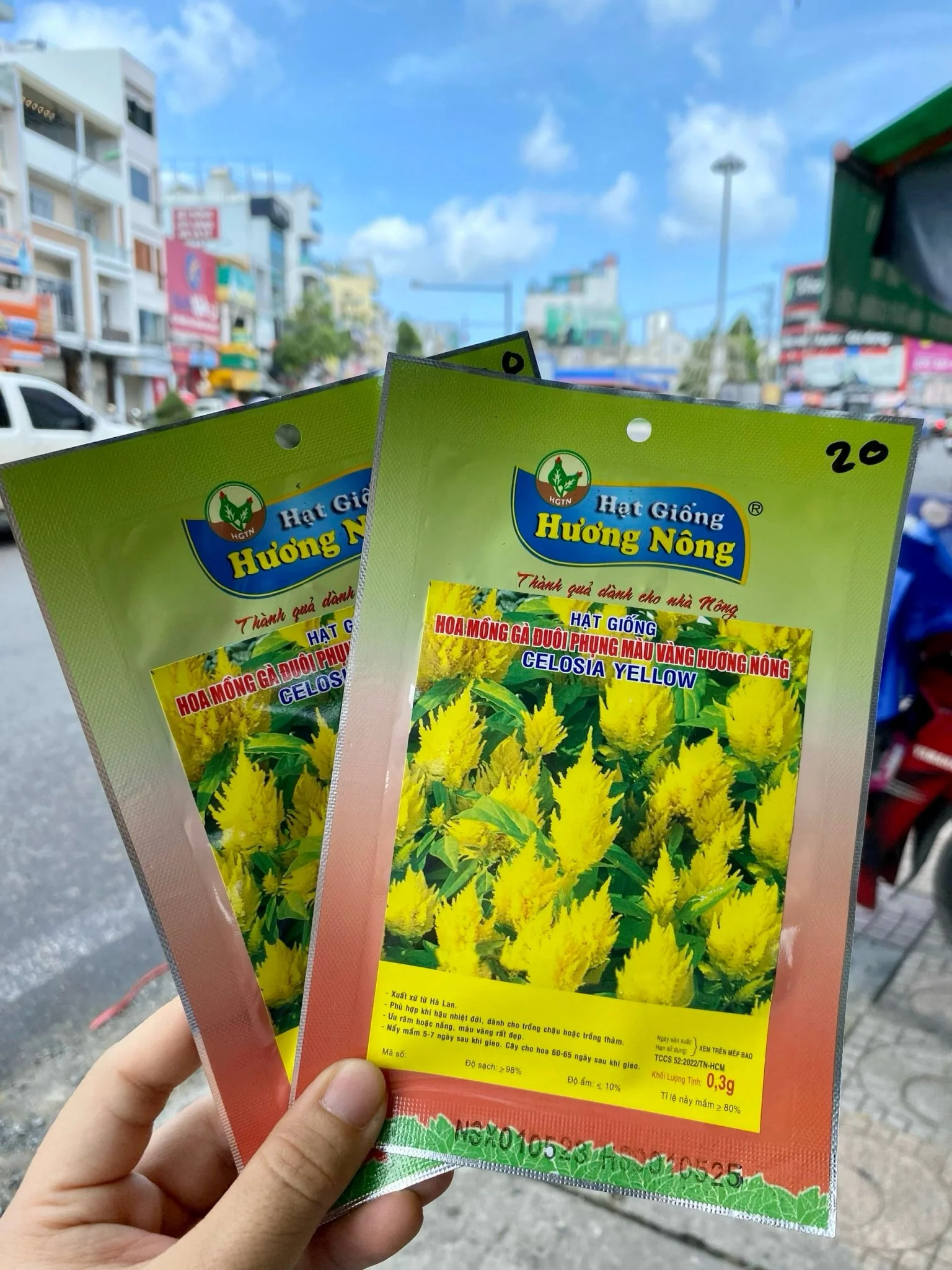 Hoa mào gà vàng đuôi phụng | img 8483