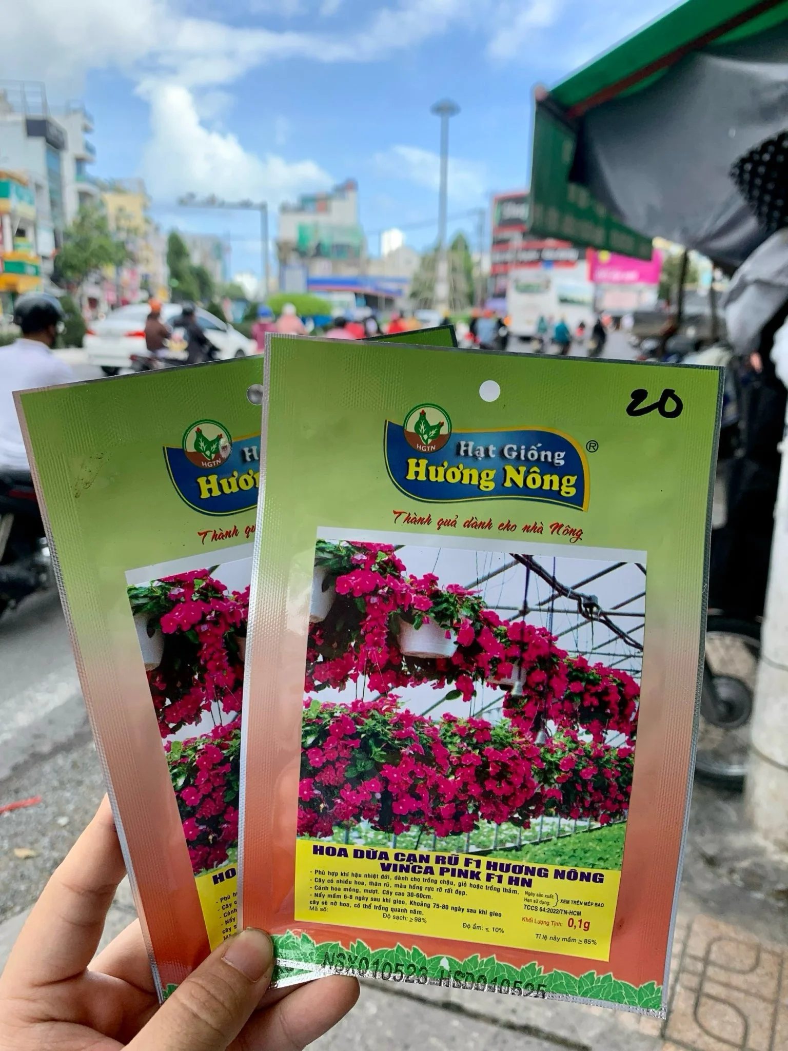 Hoa dừa cạn rũ F1 | img 8484