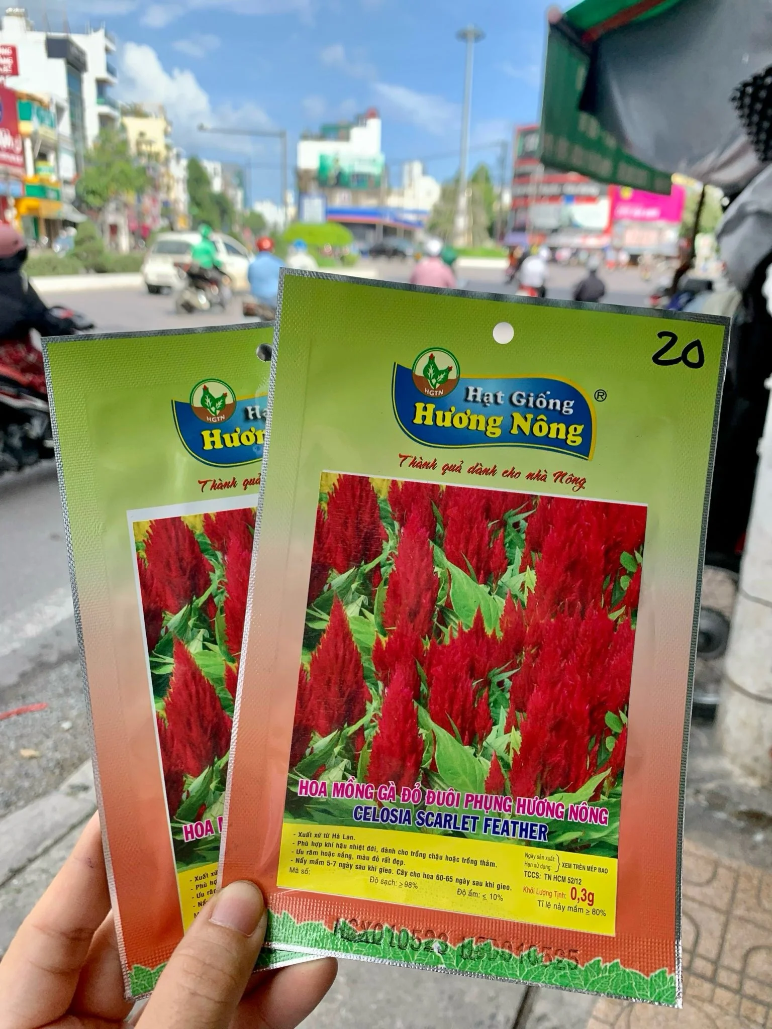 Hoa mào gà đỏ, đuôi phụng
