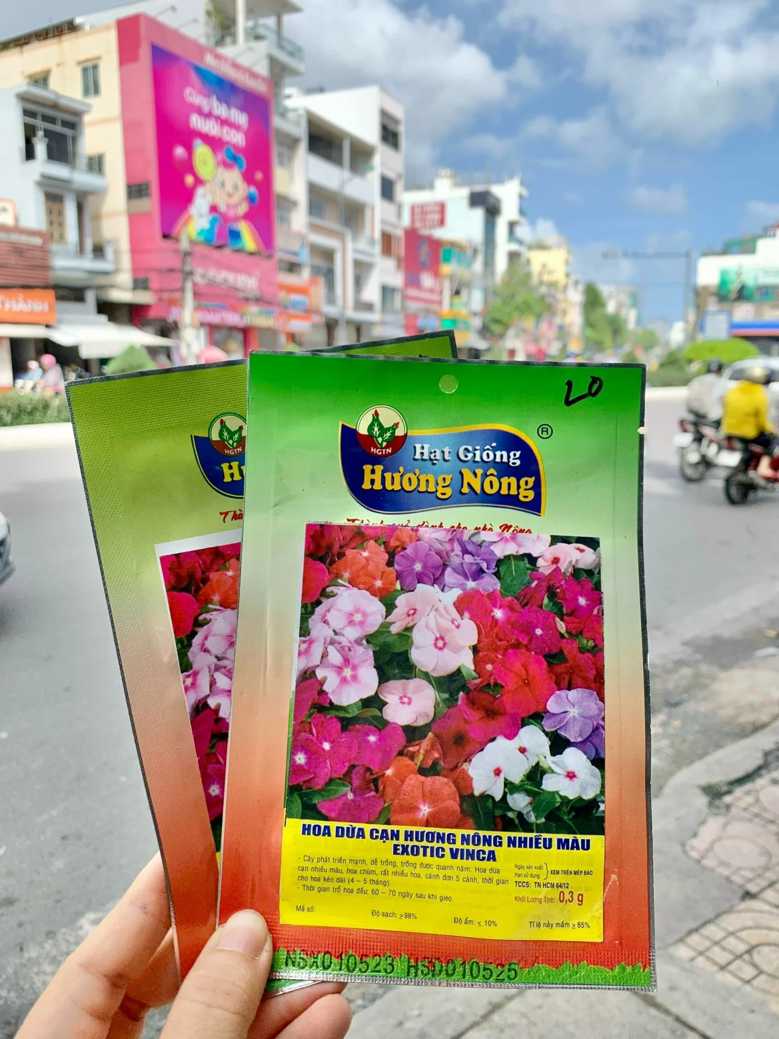 Hoa dừa cạn nhiều màu. | img 8487