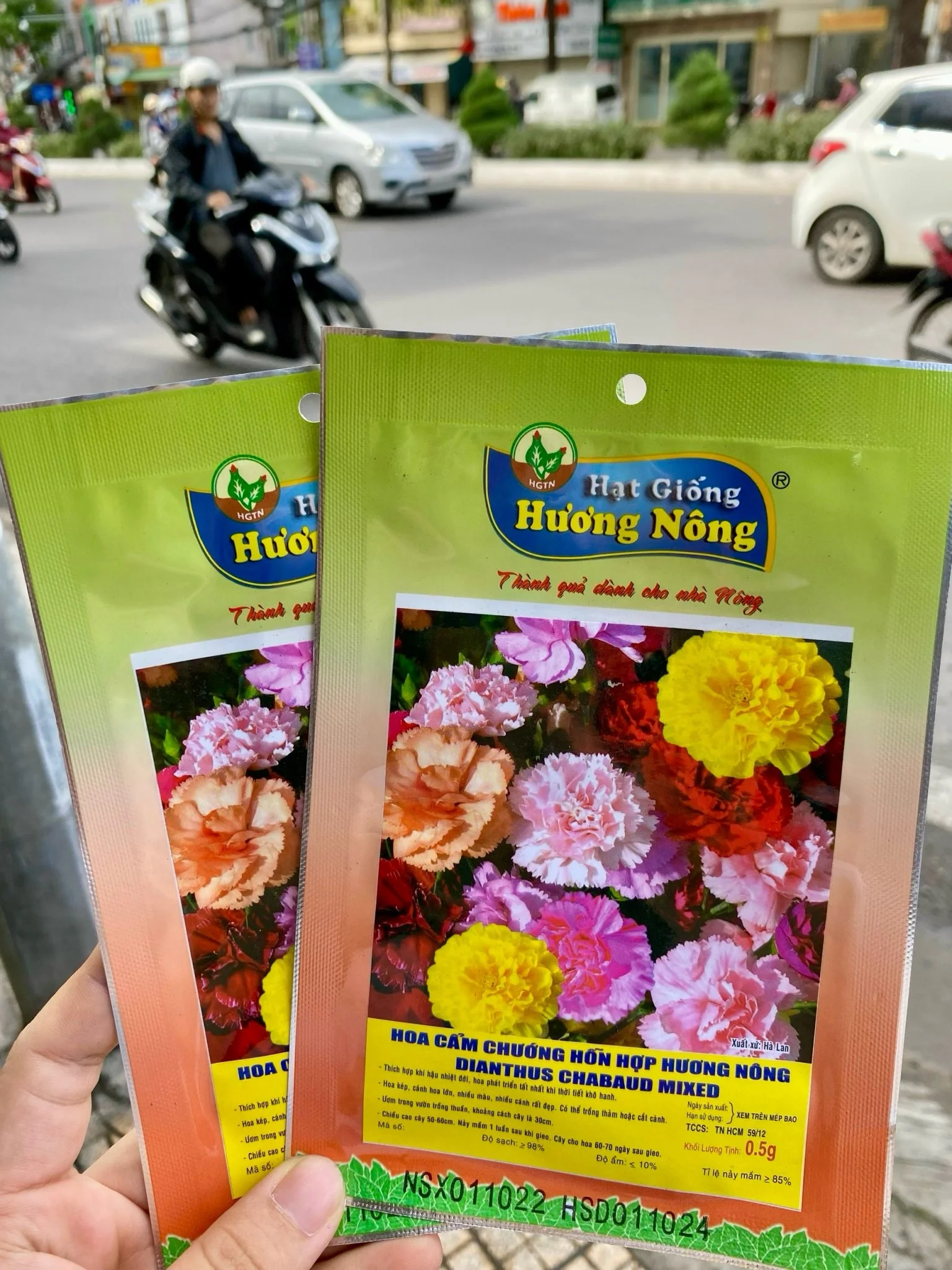 Hoa Cẩm chướng hỗn hợp | img 8489