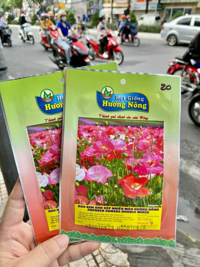 Hoa Kim anh kép nhiều màu. | img 8490