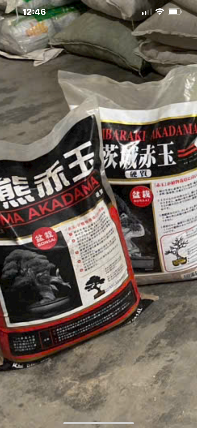 Đất sét Nhật Akadama Ibaraki