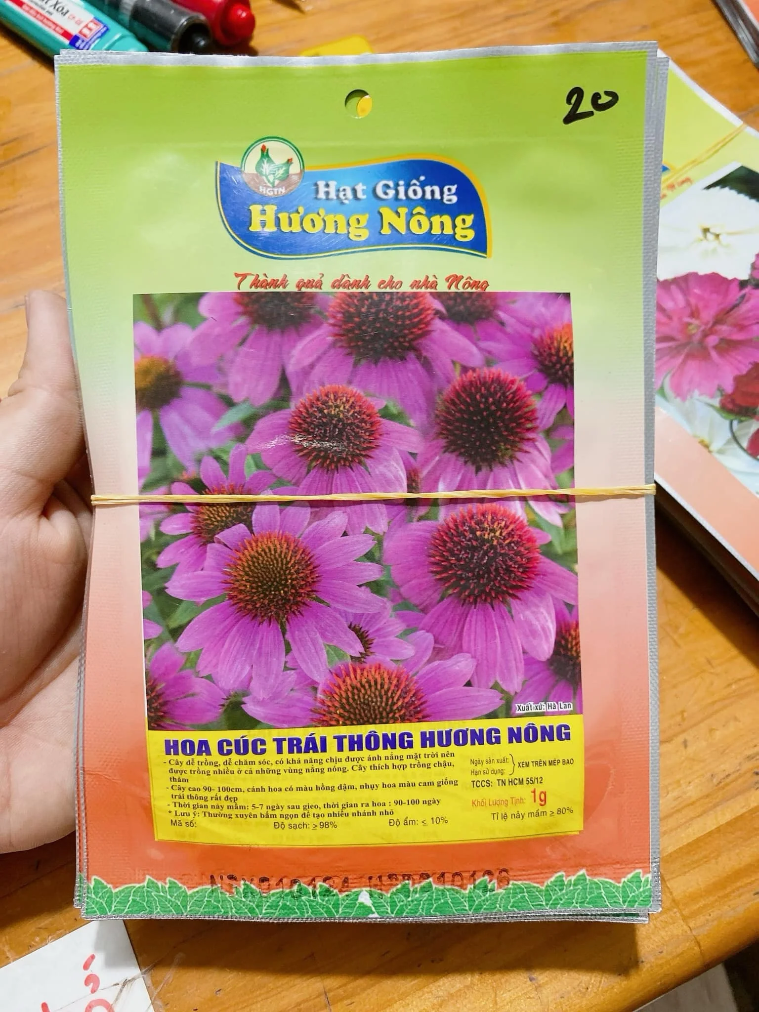 Hoa cúc trái thông | img 8842