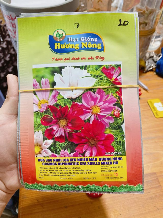 Hoa sao nhái loa kèn nhiều màu | img 8843