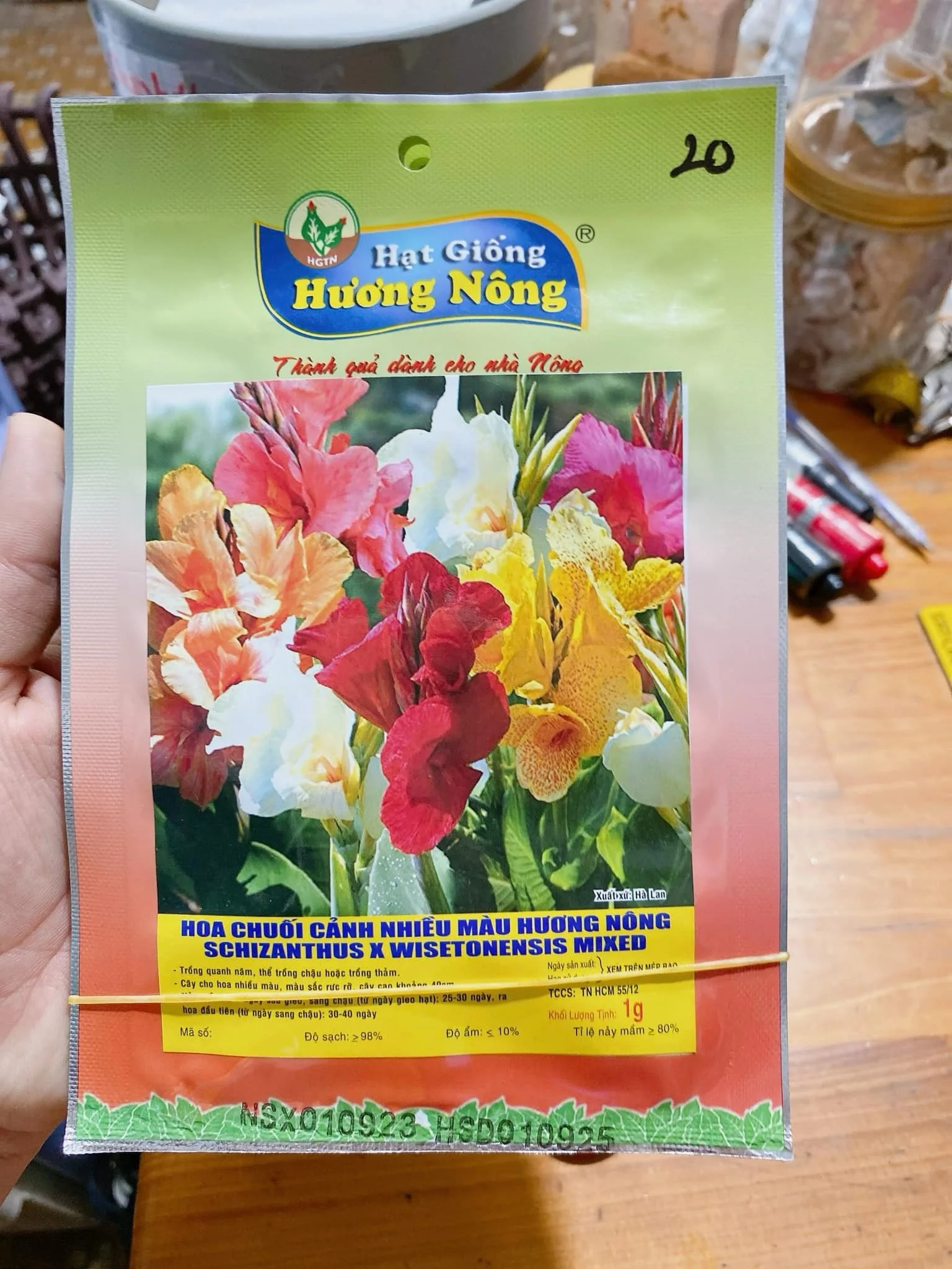 Hoa chuối cảnh nhiều màu | img 8844
