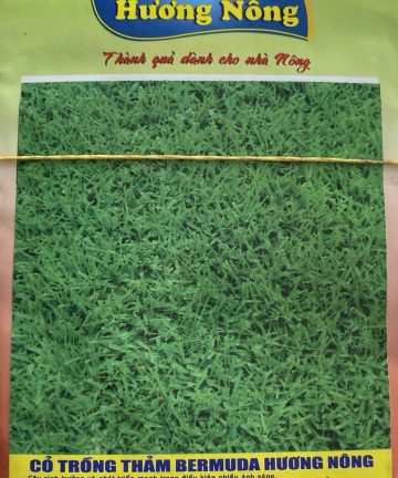 Trang chủ | img 1163